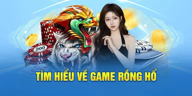 Trò Chơi Dragon Tiger Tại Bin88 Dễ Chơi Dễ Thắng Cho Tân Thủ