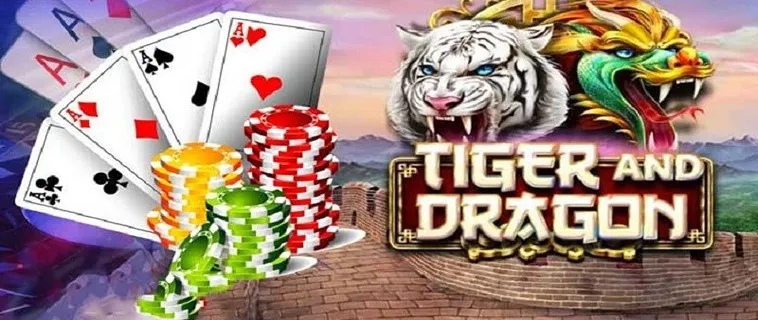 Trò Chơi Dragon Tiger Tại Bin88 Dễ Chơi Dễ Thắng Cho Tân Thủ